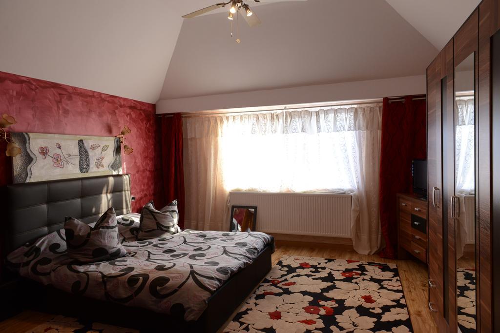 Vila Perla Sapanteana Sapinta Room photo