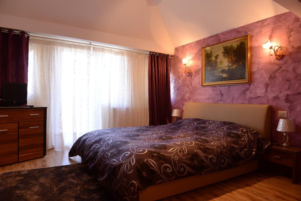 Vila Perla Sapanteana Sapinta Room photo